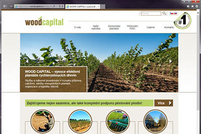 WOOD CAPITAL - webová prezentace
